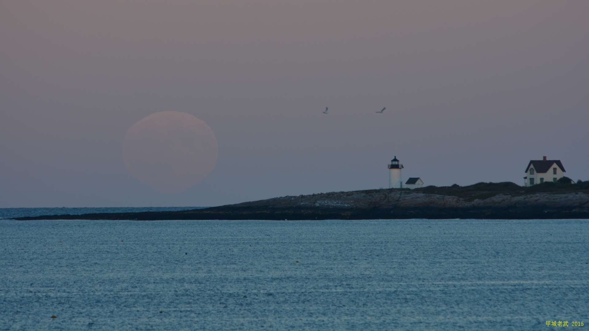 moon and bird