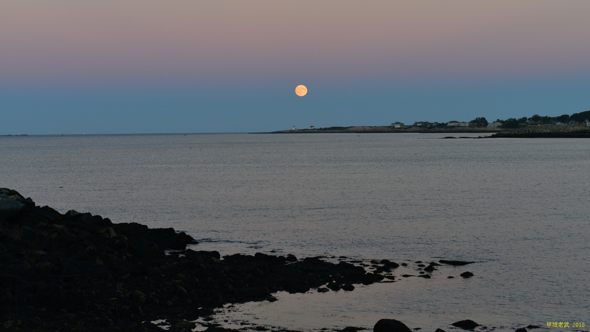 moon and bird