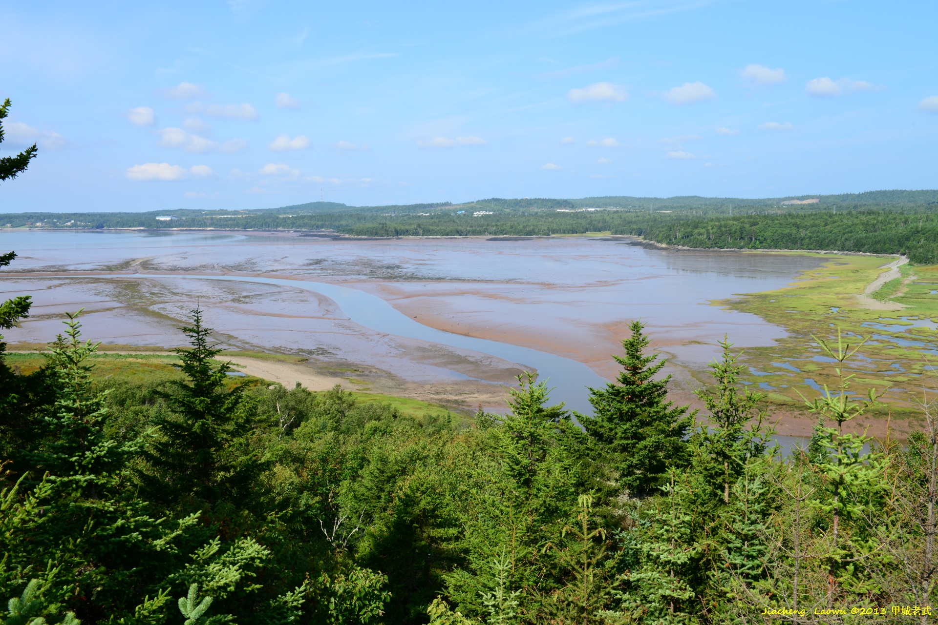 Horseshoe Falls from Tower