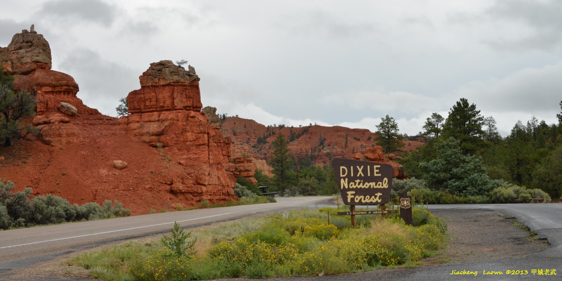 Dixie NF